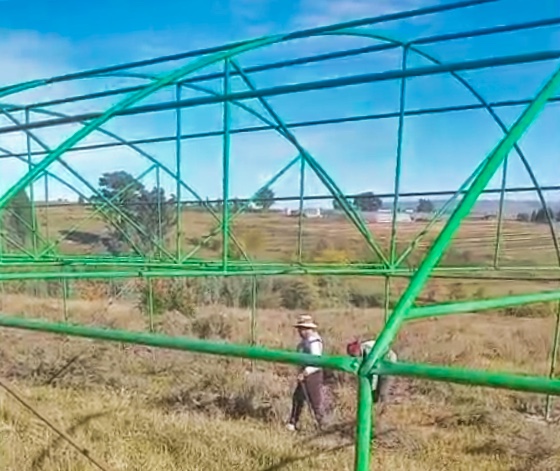 Greenhouse assembly